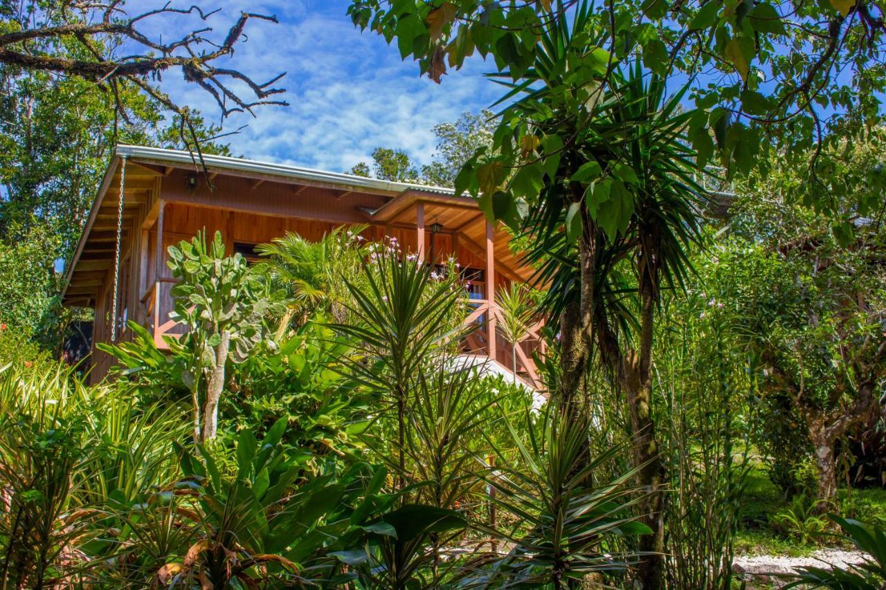 Hotel Holístico Monteverde Exterior foto